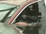 汽车落水逃生的方法与正确使用头枕破窗
