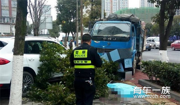 飞来横祸！大树砸了车，保险公司怎么赔？